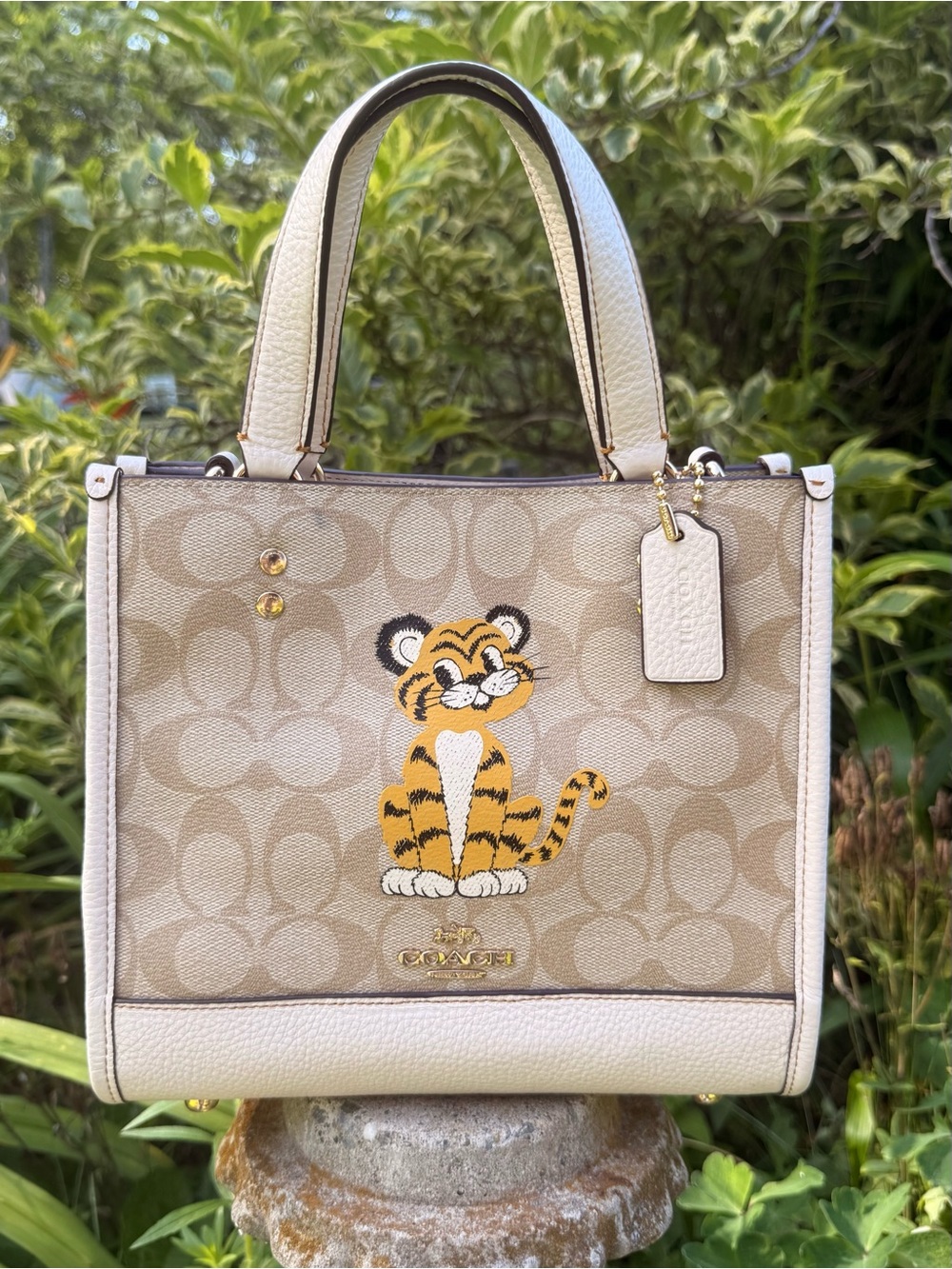 Coach Tiger Dempsey 22 Tote Bag